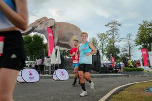 BIB: 
                            <button type="button" onclick="openModal(26528815)" class="btn btn-primary btn-sm float-right btn-popup" data-toggle="modal" data-target=".modal-high-quality">
                        <i class="fas fa-shopping-cart"></i> Add to Cart
                    </button>
                                            <button type="button" onclick="isThisMe(26528815, true)" class="btn btn-success btn-sm float-right btn-popup btn-isme hidden" data-toggle="tooltip" data-placement="bottom" title="นี่คือรูปของคุณใช่ไหม คลิกที่นี่เพื่อเอาเข้าอัลบั้ม">
                        <i class="fas fa-plus"></i> Add to album
                    </button>
                    <button type="button" onclick="isThisMe(26528815, false)" class="btn btn-warning btn-sm float-right btn-popup btn-isnotme hidden">
                        <i class="fas fa-ban"></i> Remove from album
                    </button>